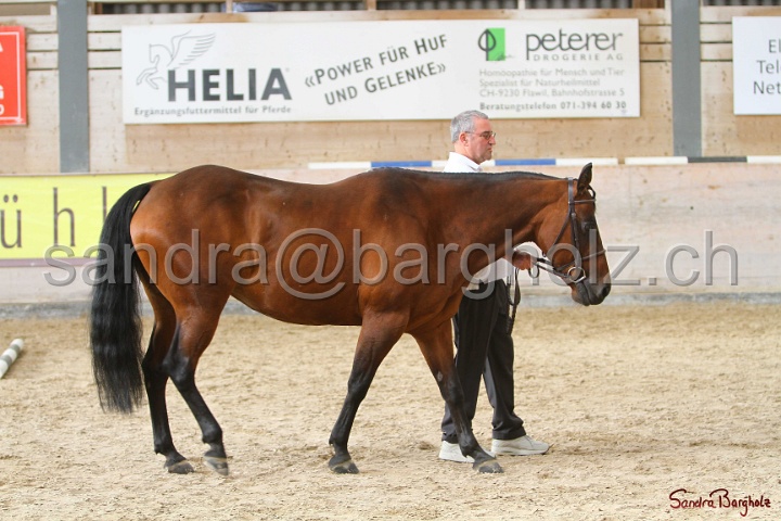 24-ApHC HIH_019.jpg
